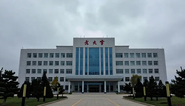 干线运输运营效率提升的适用情况与限制